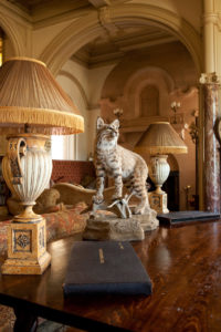 Vermejo Ranch Bobcat