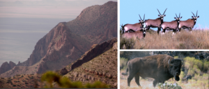 Armendaris Ranch