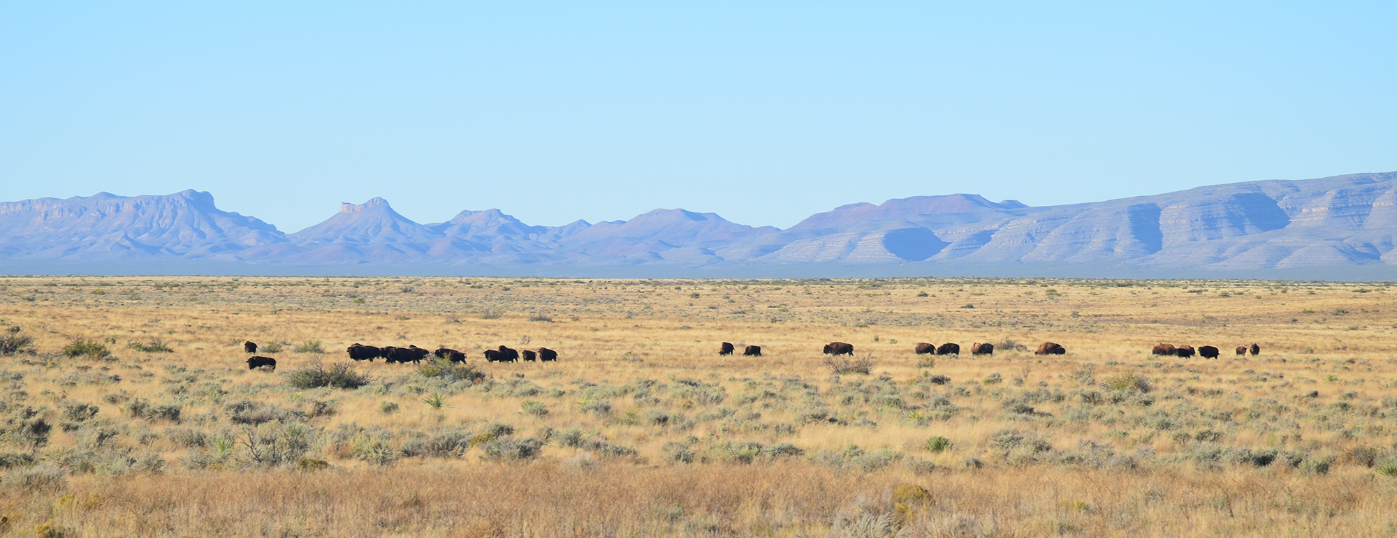 ArmendarisRanch_NM2 - Turner Enterprises