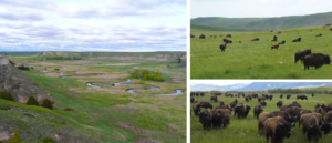 Blue Creek Ranch