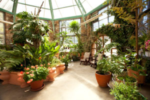 Vermejo Ranch Solarium