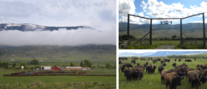 Red Rock Ranch