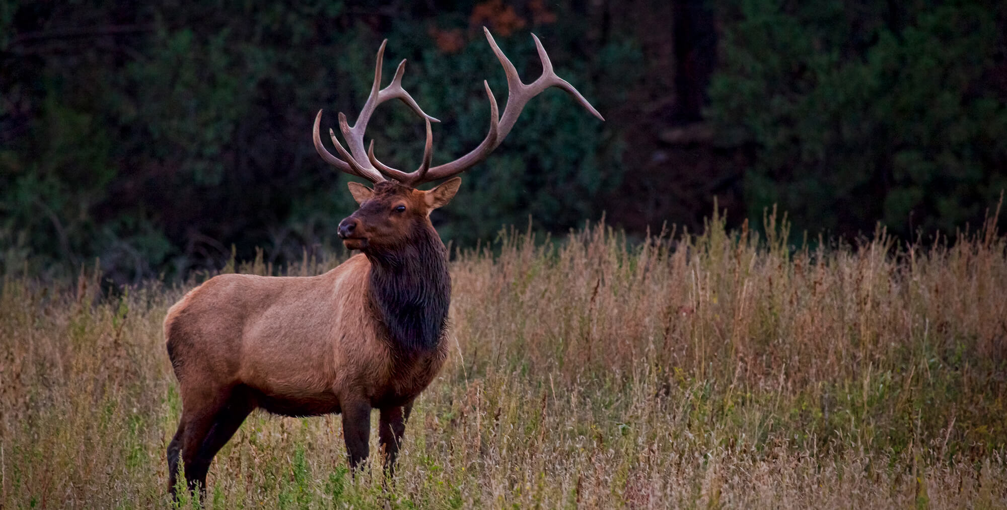 Vermejo Park Ranch Featured in The New York Times