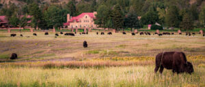 Ted Turner Reserves